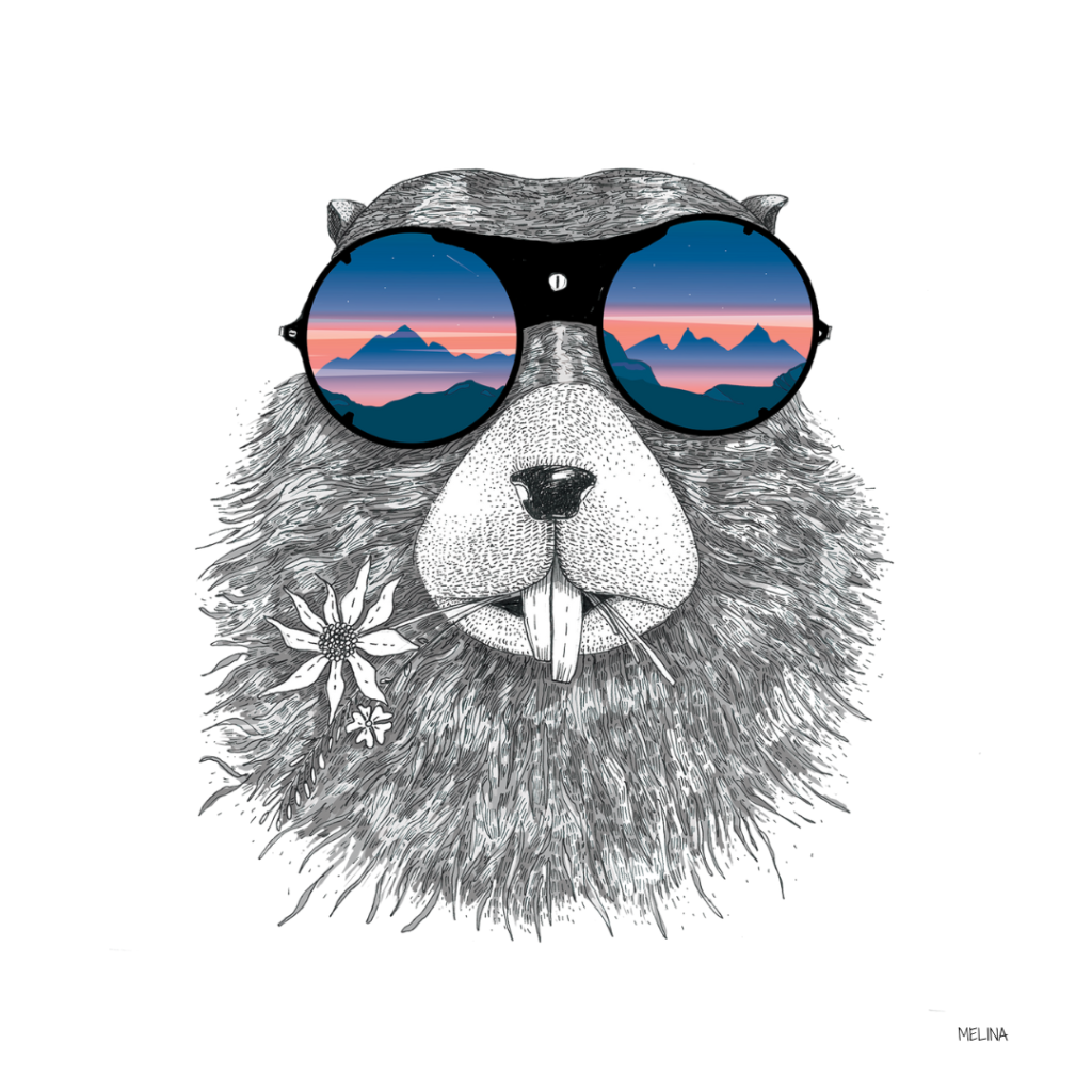 Dessin marmotte fun